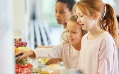 2022 Colorado State Ballot Proposition FF: “Healthy School Meals for All Public School Students”