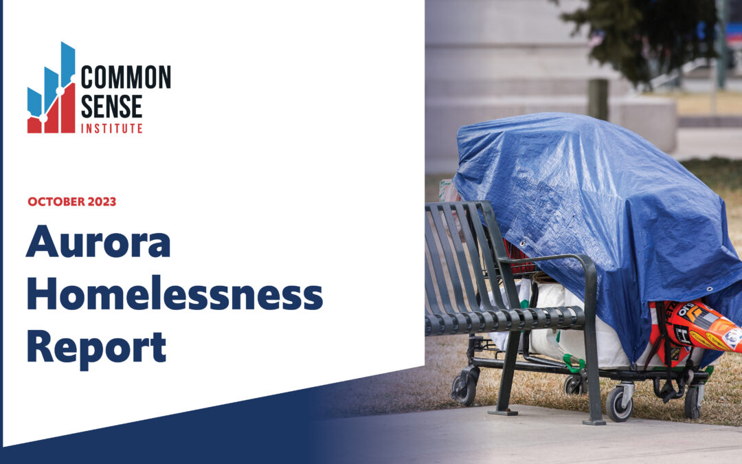 Aurora Homelessness Report