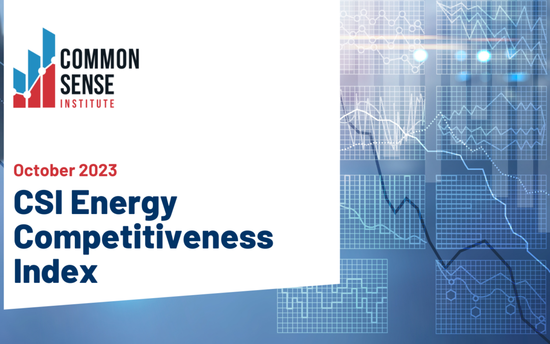 CSI Energy Competitiveness Index