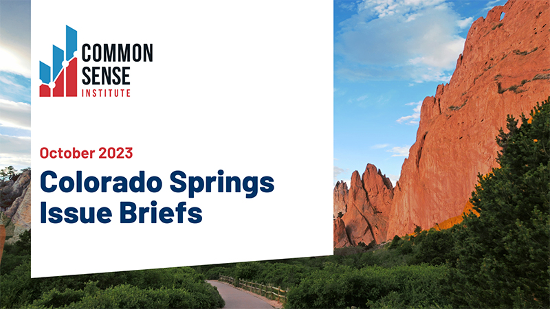 Colorado Springs Issue Briefs