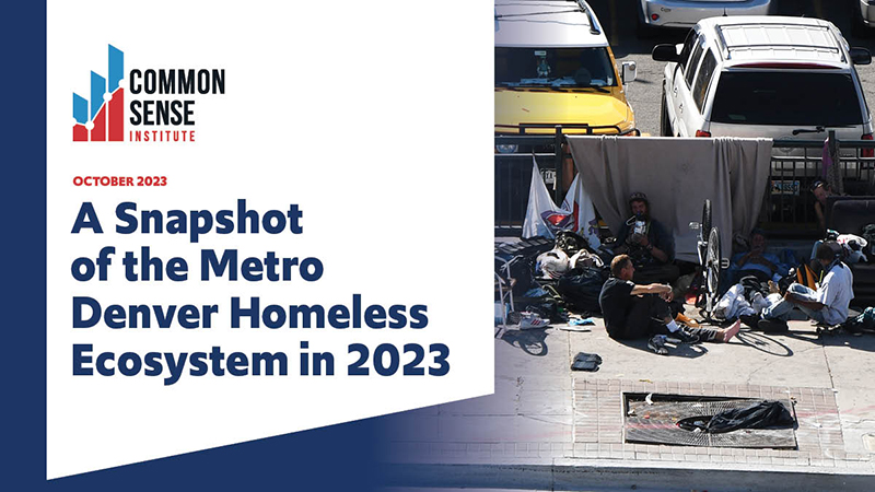 A Snapshot of the Metro Denver Homeless Ecosystem in 2023